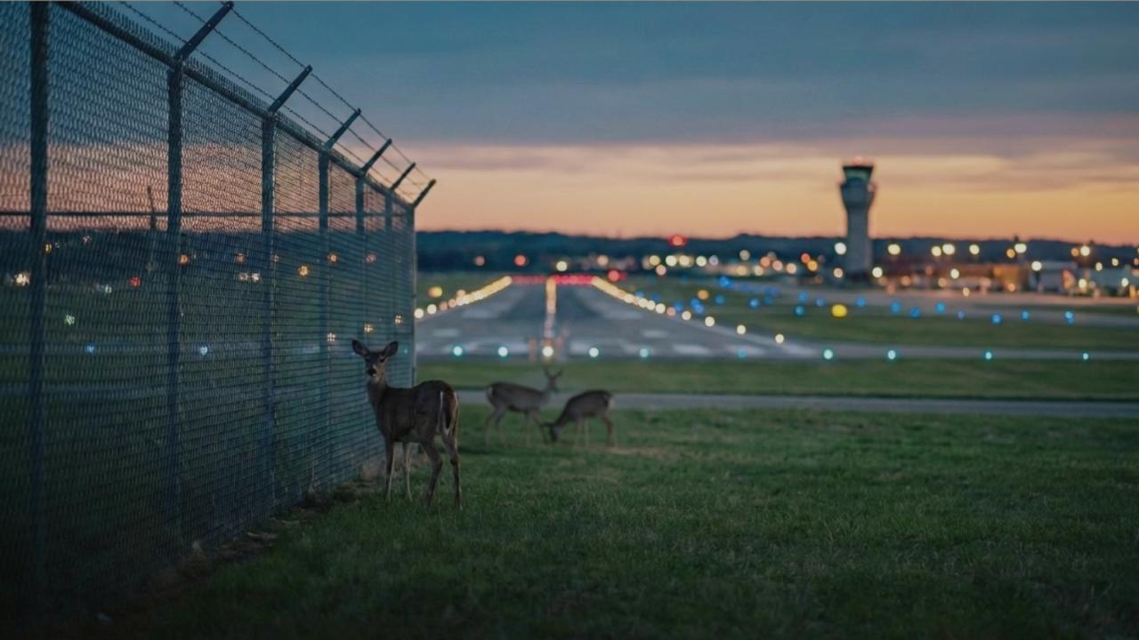 Airport